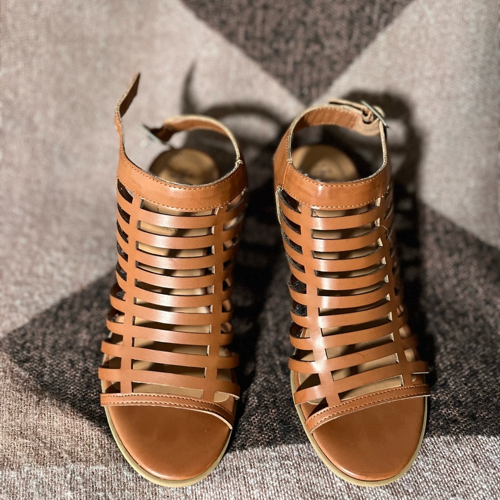 Style Co Women's Haileyy Caged Upper Cone Heel Dress Sandals